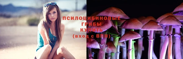 наркотики Богородицк