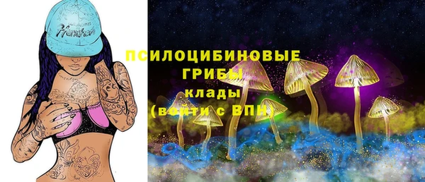 СК Богданович