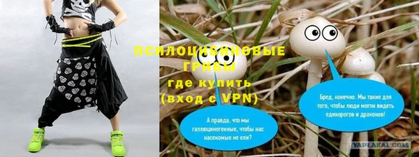 хмурый Богородск